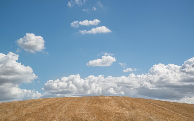 Nam Dang tweet media