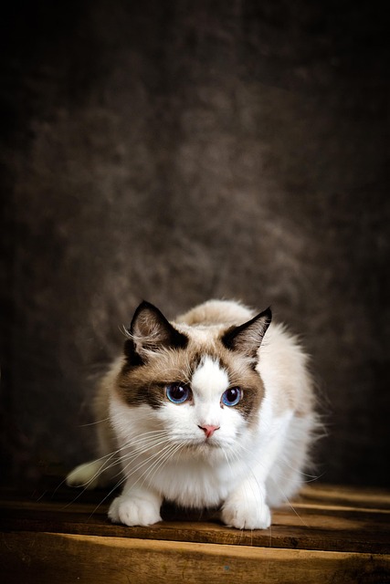 Edgar Right tweet media