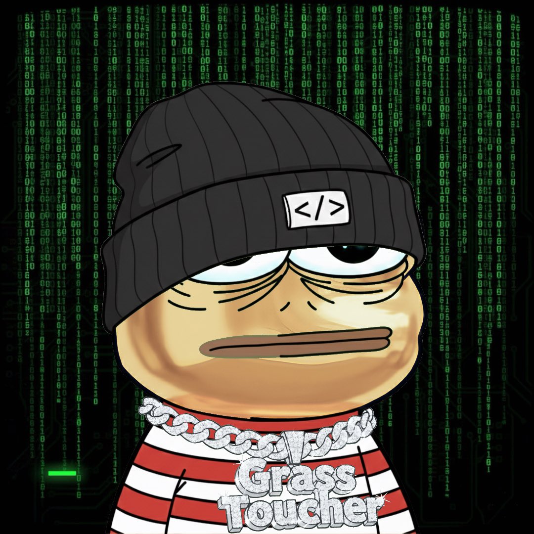 TouchGrass ☀️ tweet media