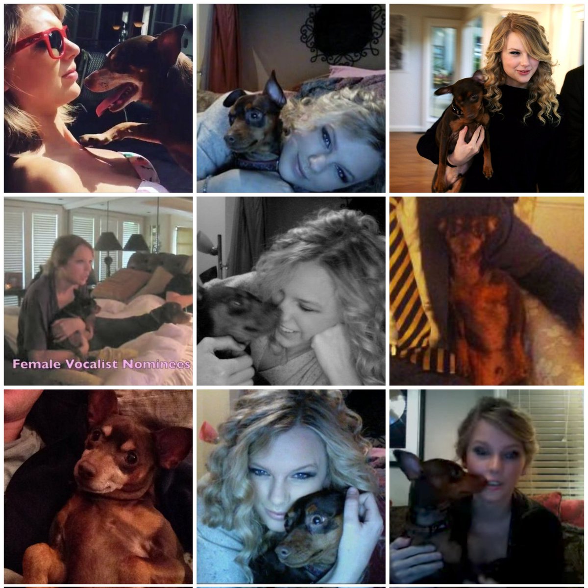 nao - 🐍🌸🎂🏠 tweet media