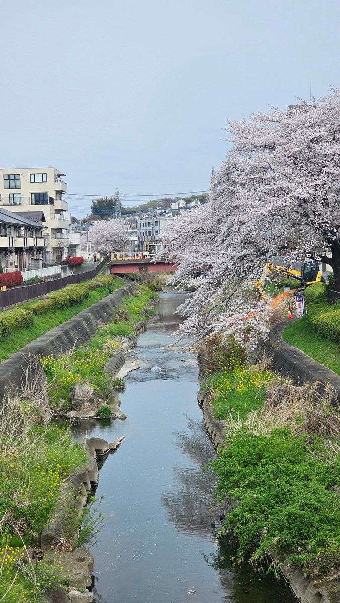 Michael(Poltfan)((JapanDayTripper)) tweet media