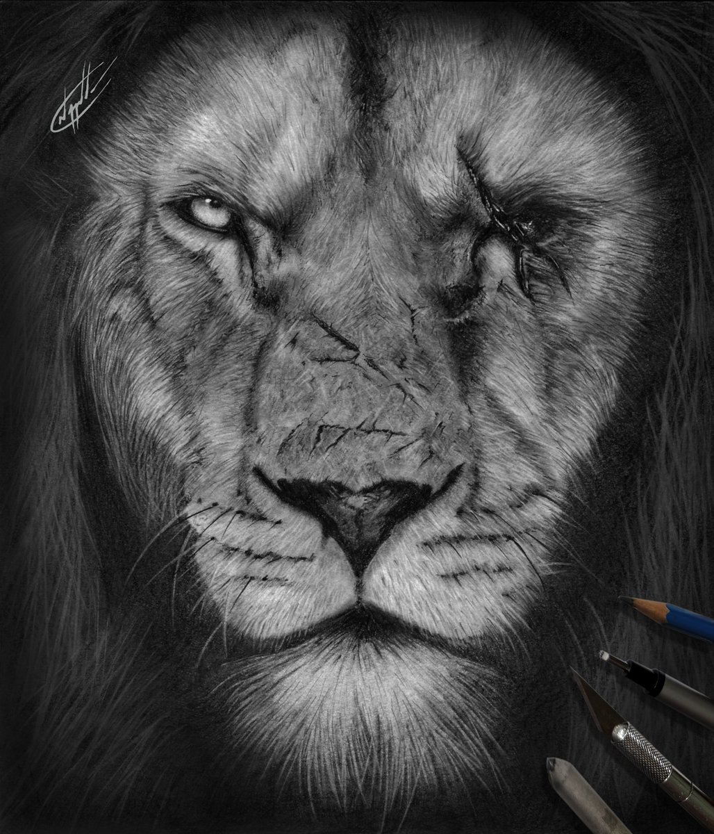 Nick Apostolides tweet media