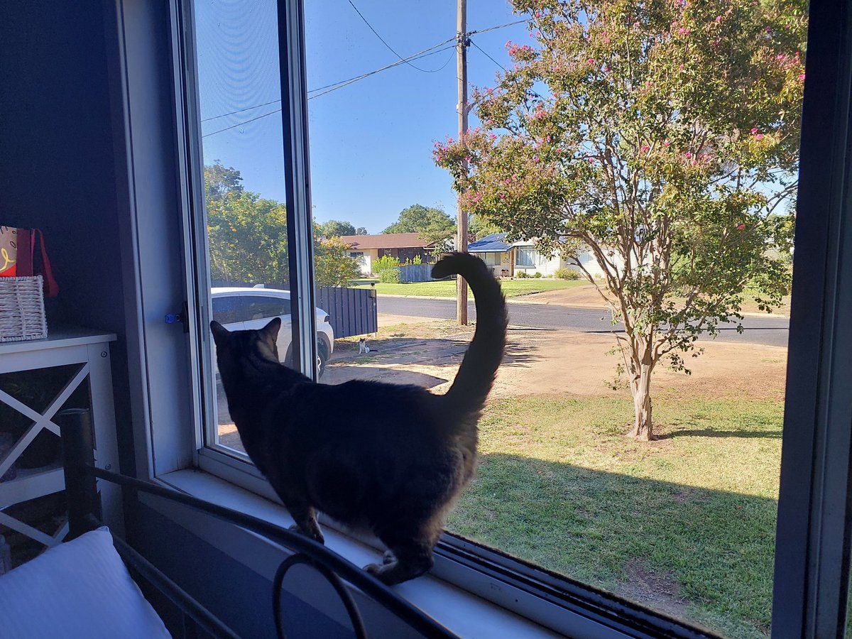 🌻 Merry 🍰🌼 79/100 & 17/100 prompt fills 🌻 tweet media