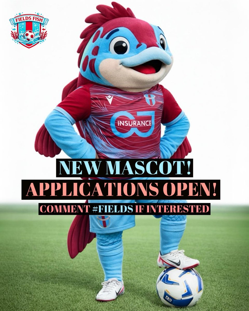 Westfields FC tweet media