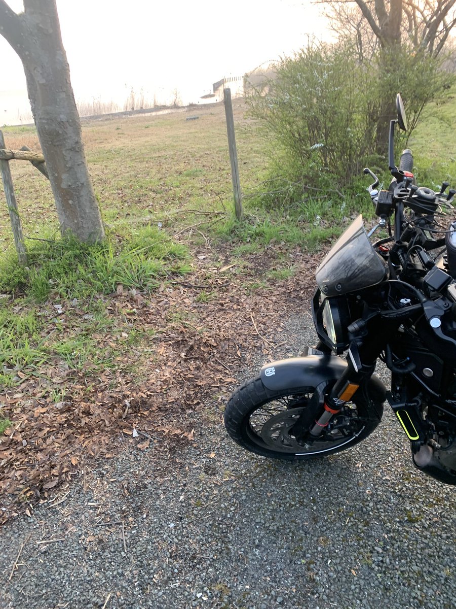 d53 (デコさん)@SSTR_5/30出走🏍️💨 tweet media