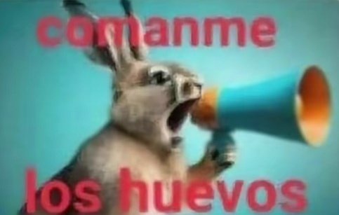 ₊˚ʚ 🌱 ₊˚✧ﾟ. tweet media