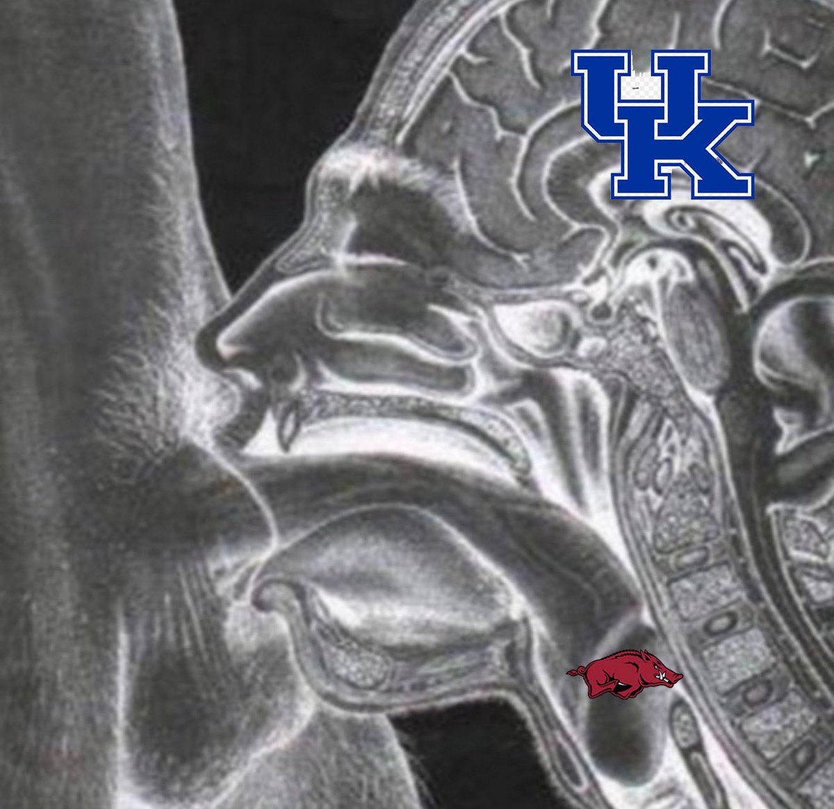 Razorbass904 tweet media