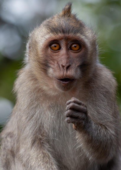 우끼기 tweet media