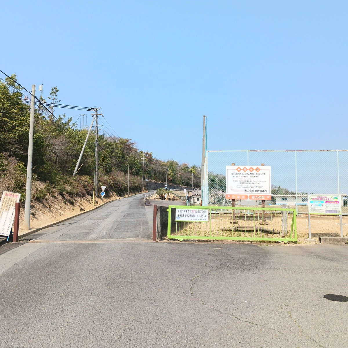 まのこ♪︎ tweet media