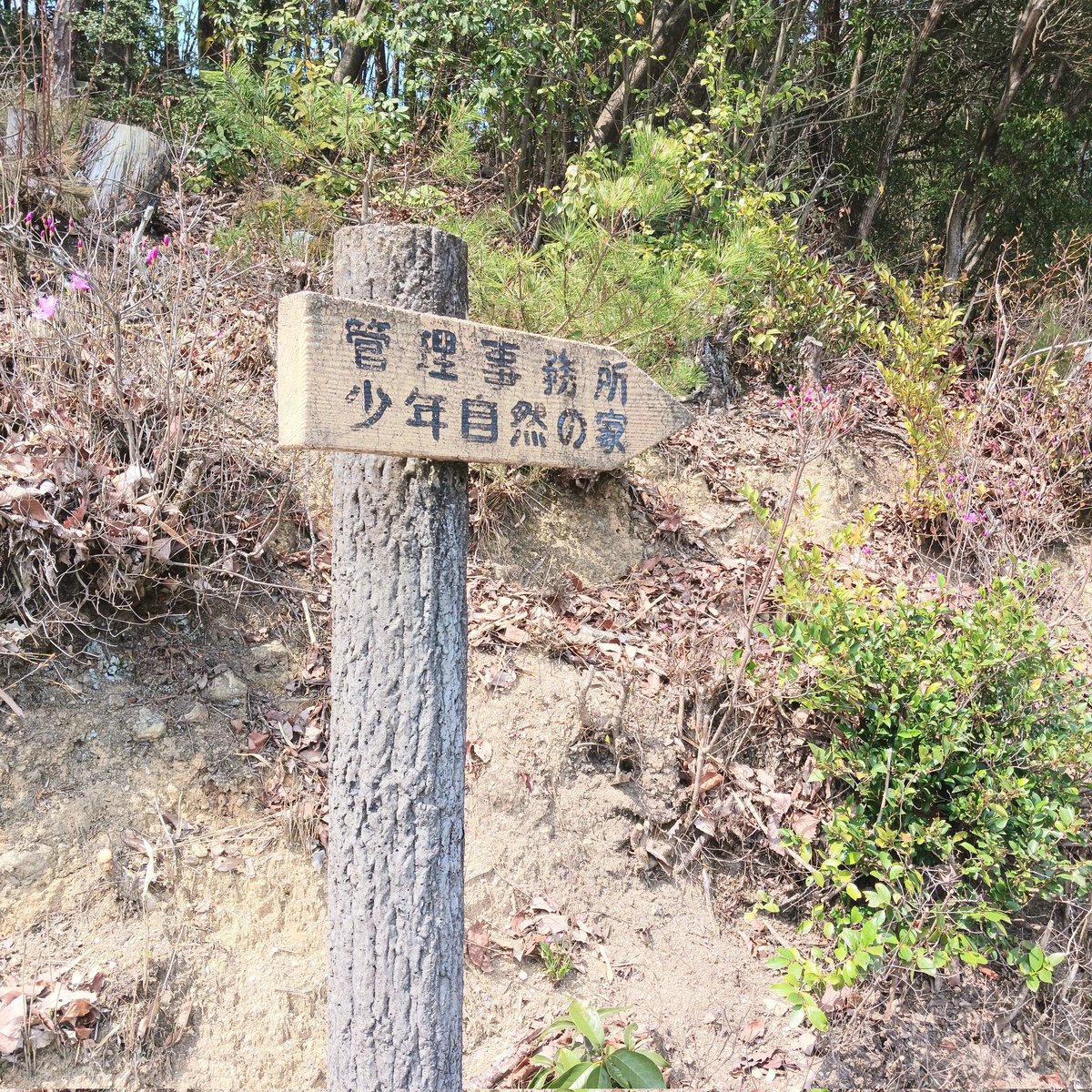 まのこ♪︎ tweet media