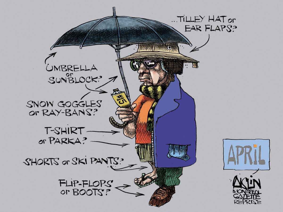 Terry Mosher tweet media