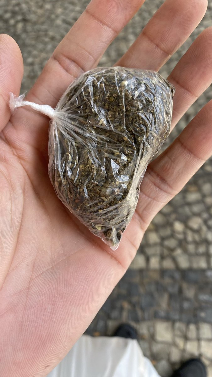 satanaries tweet media