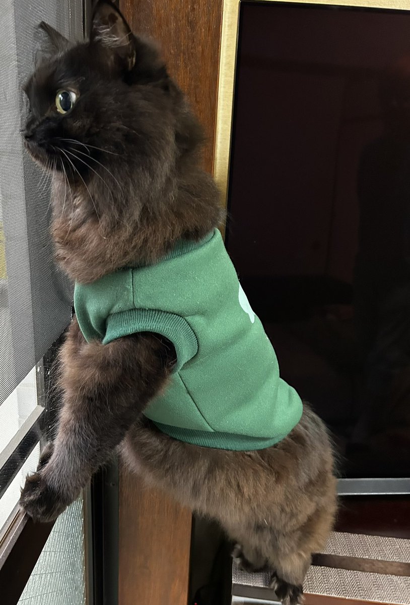 Pinoko@49yo tweet media