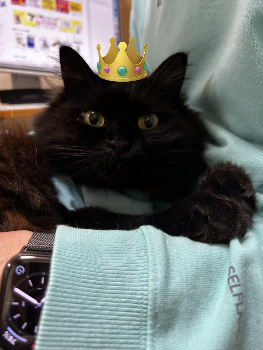 Pinoko@49yo tweet media