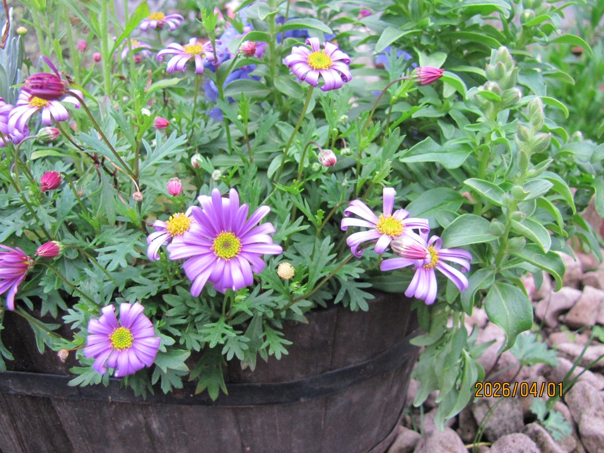 あっちこっち2 tweet media