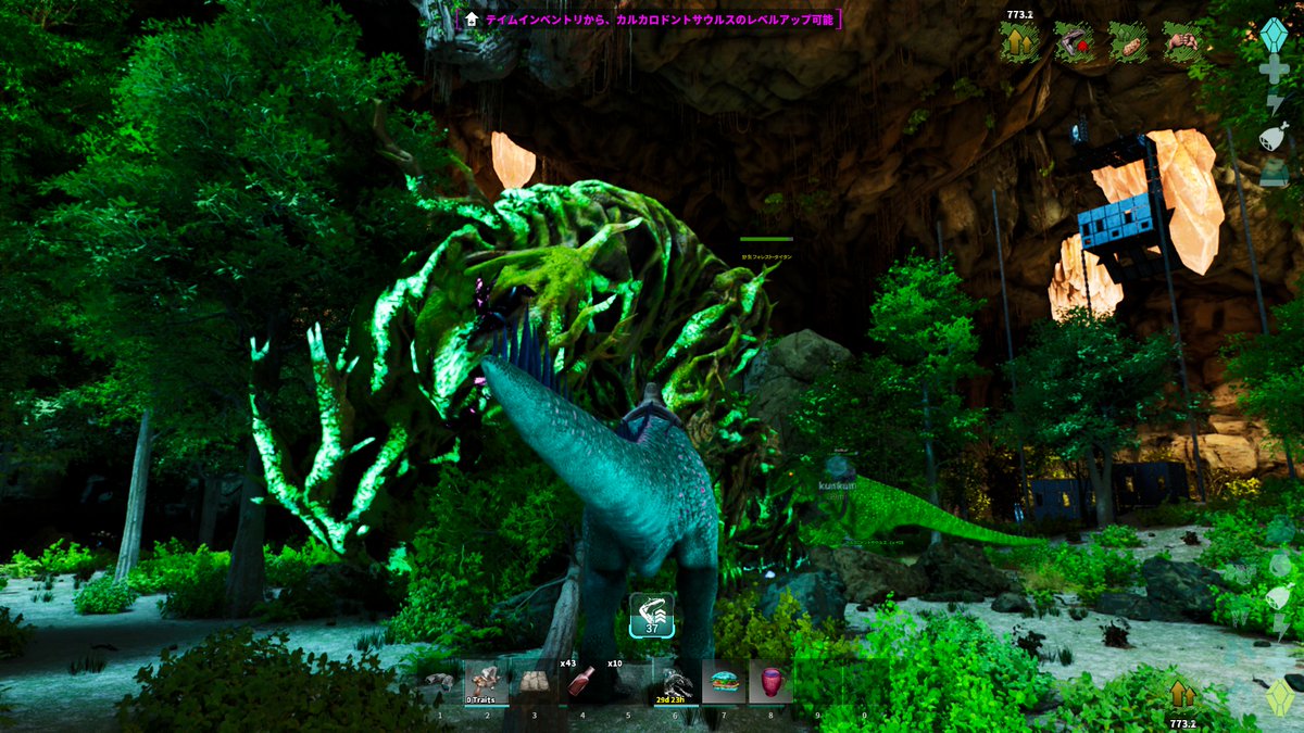 春華（はるか） tweet media