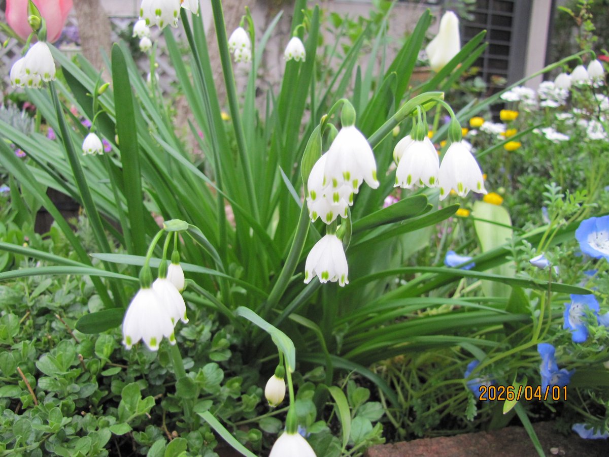 あっちこっち2 tweet media