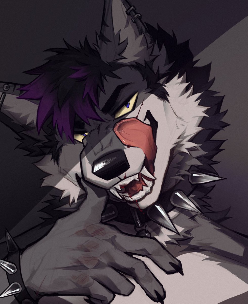 eхcalιвυr⚔️ tweet media