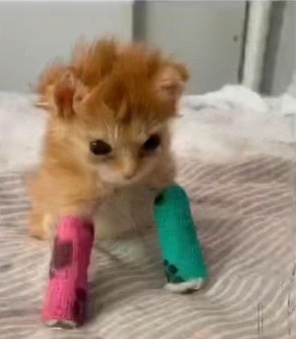 1VERSE UPDATES ♡ tweet media