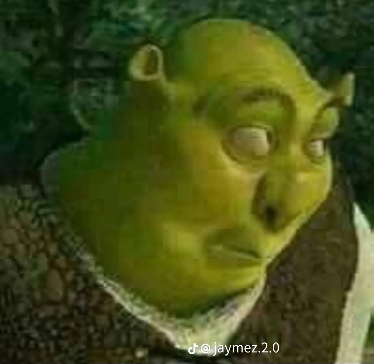 thaadoll ᥫ᭡. tweet media