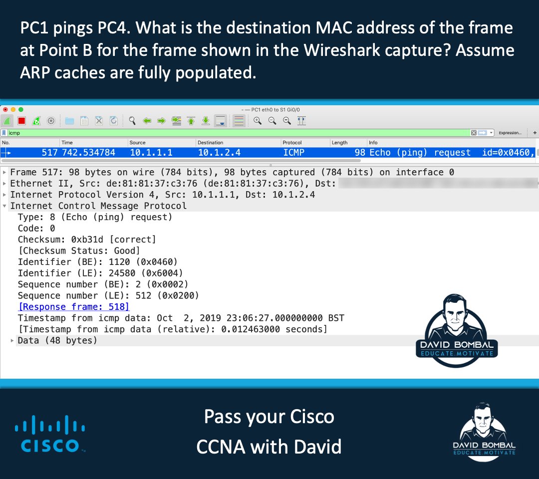 David Bombal tweet media
