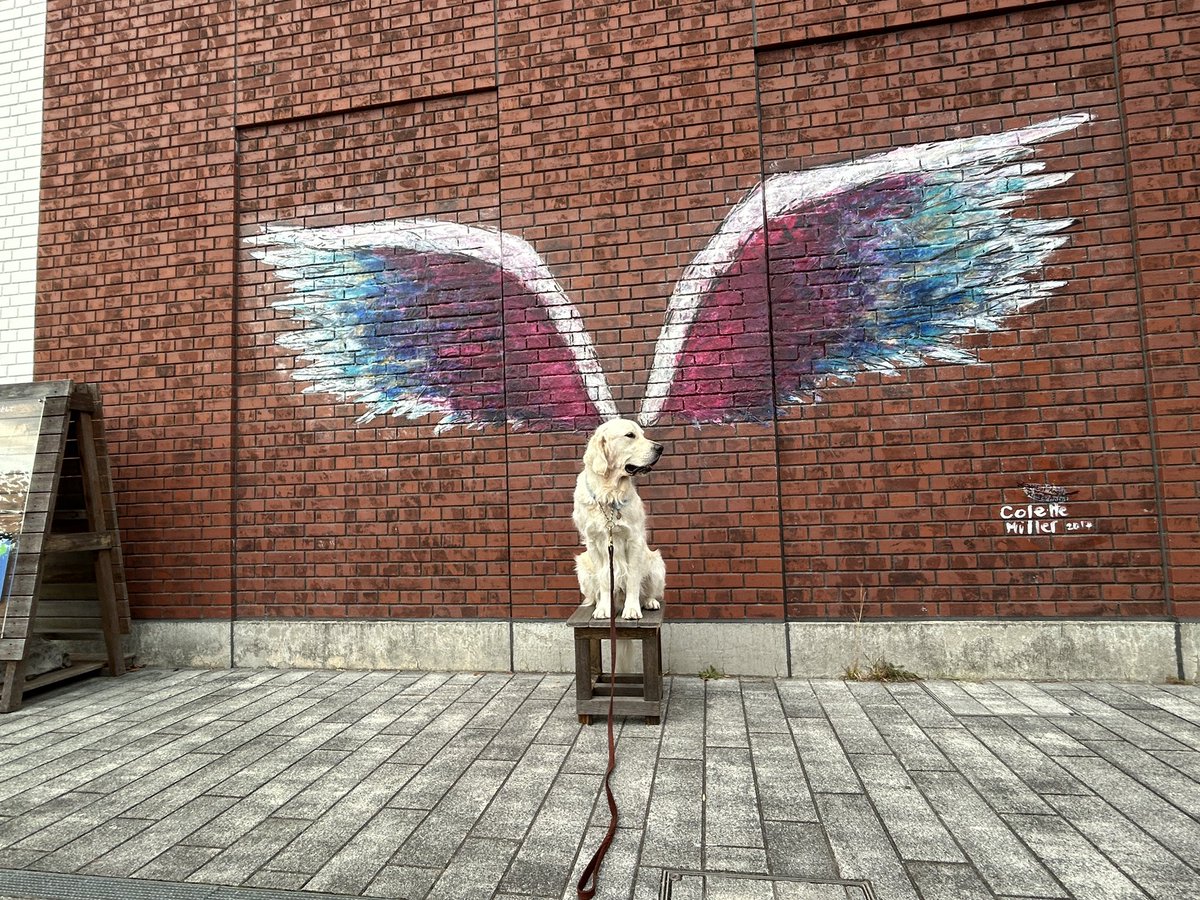 おはようございます！
朝に浴びる太陽、嬉しい！
このあと、また雨のようですがそれでも嬉しい！素晴らしいぞ、太陽！！
いいのです。それで。光が少しでも差すのであれば頑張れる。そして、思ったより寒くなってきました。さぁどうする！？
思うことはありますが、新しい年度の始まり。笑顔でいこう！
