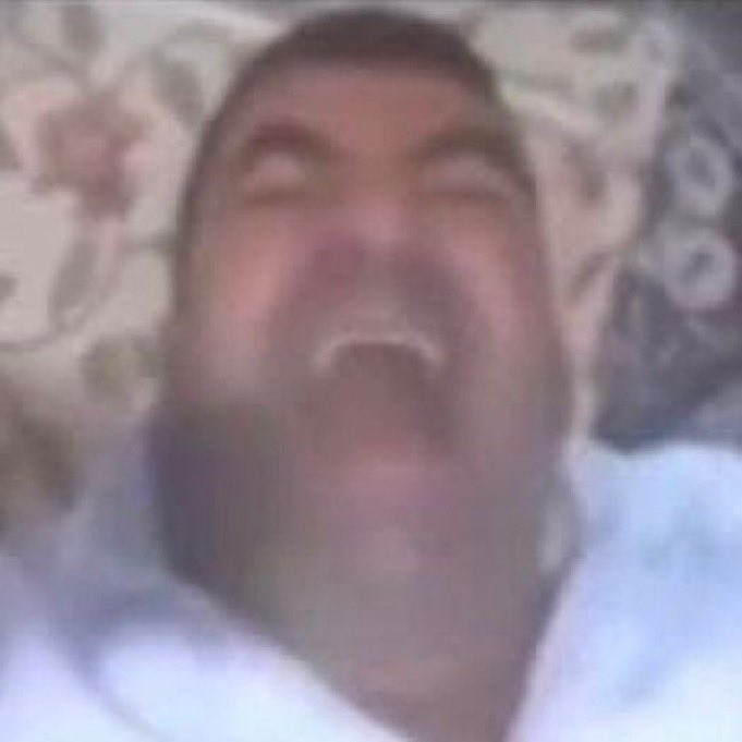 zindan gorili tweet media