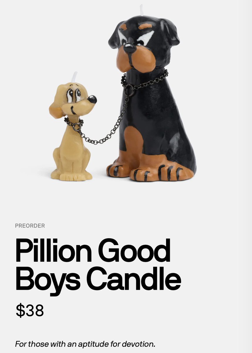 bisexual molly meldrum tweet media