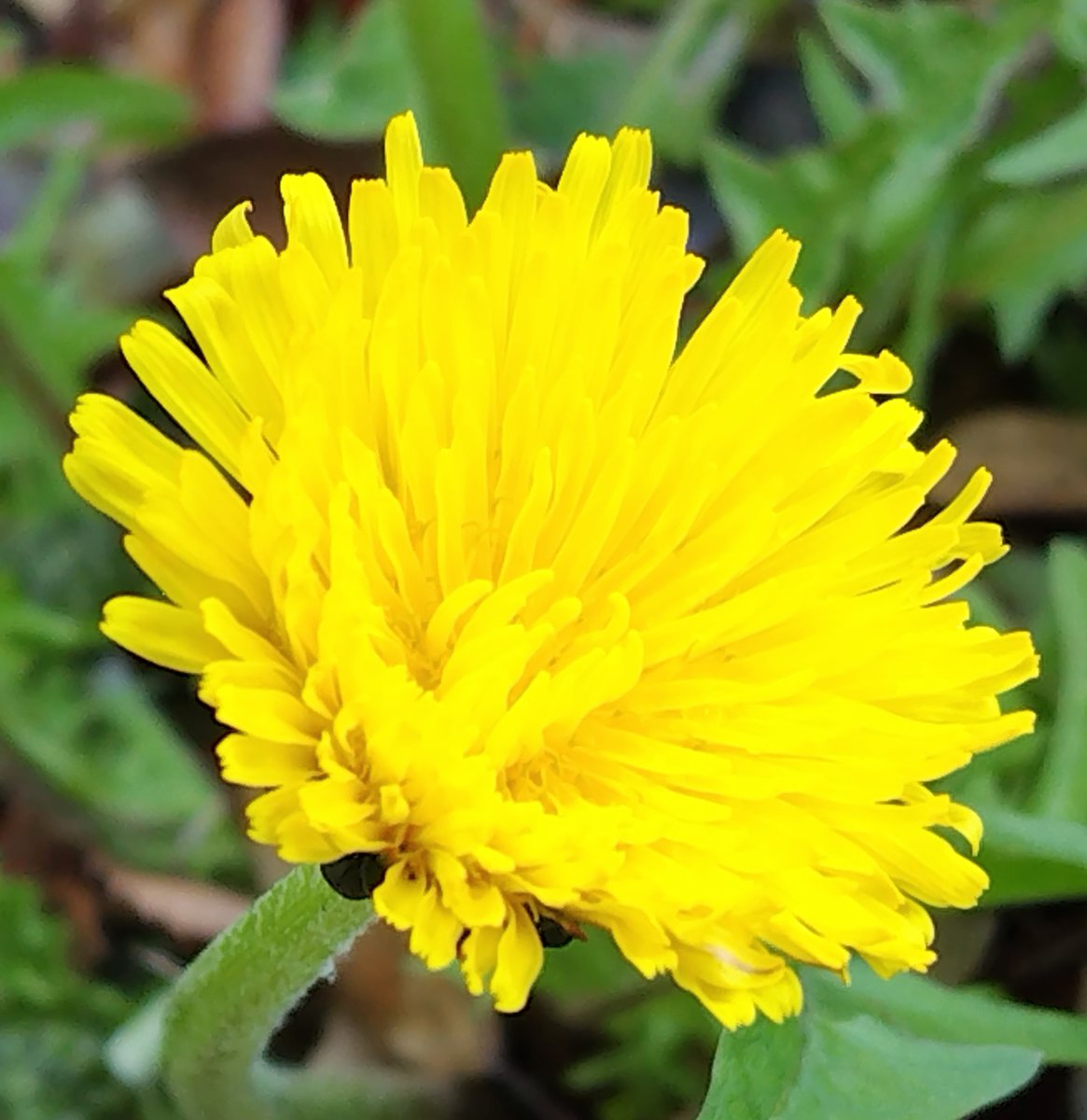 faithhopelove tweet media