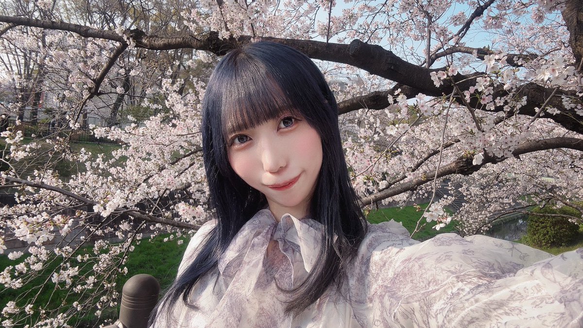 瑠璃川もも(夕凪のスピカ) tweet media