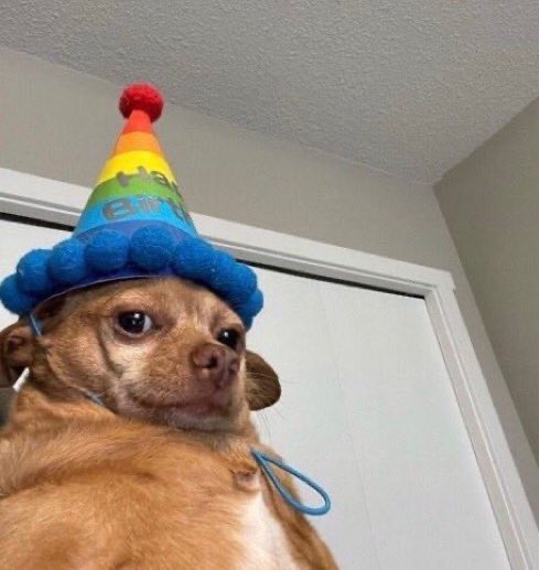 โฌ๐ถ๐ท๐๐คช๐นโจ tweet media