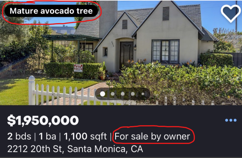 Tyler Bindi tweet media