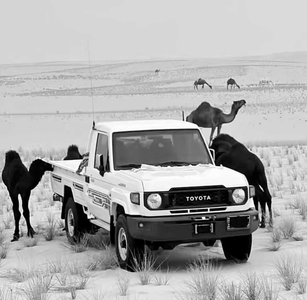 عسى من يخلي شفّ نفسه وهو مجبور
يعوضه ربي عن هوى النفس بالخيره