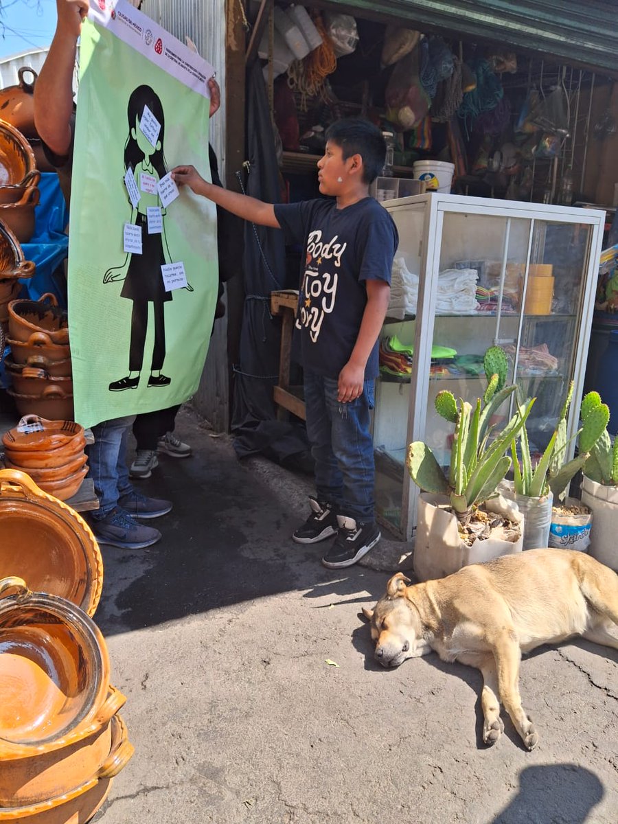 Coordinación General CEDA tweet media