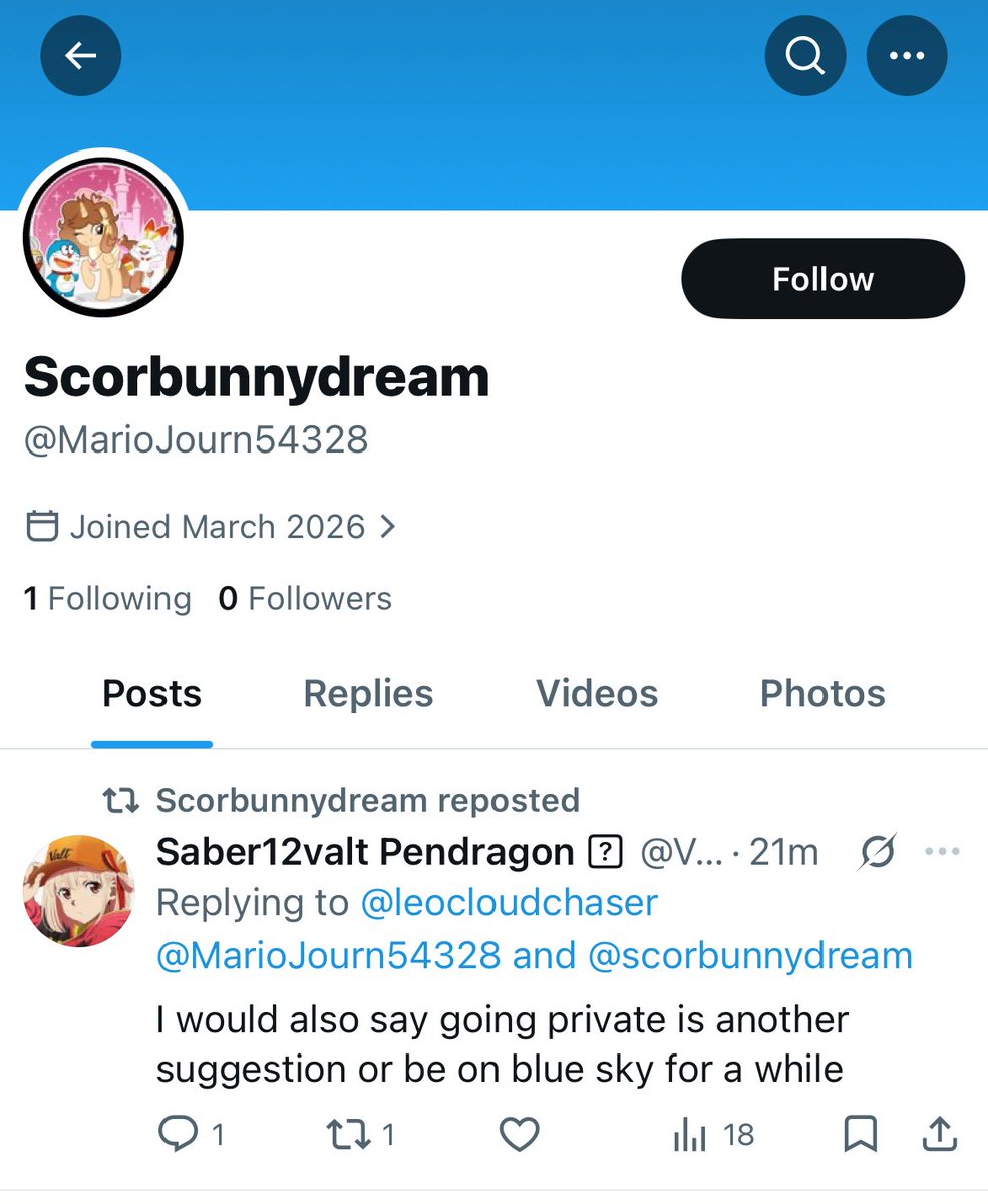 ScorbunnyDream tweet media