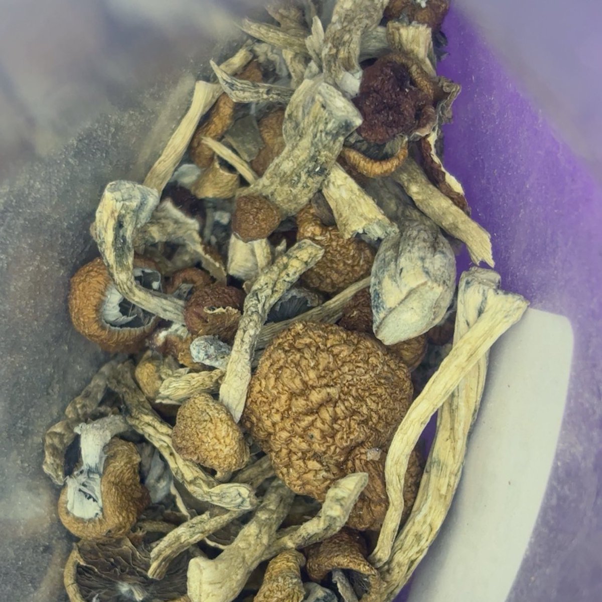 *ੈ✩‧₊˚༺sx.pxxm༻*ੈ✩‧₊˚ tweet media