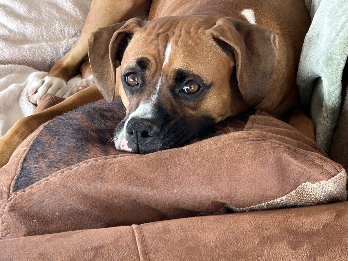 Michael OToole tweet media