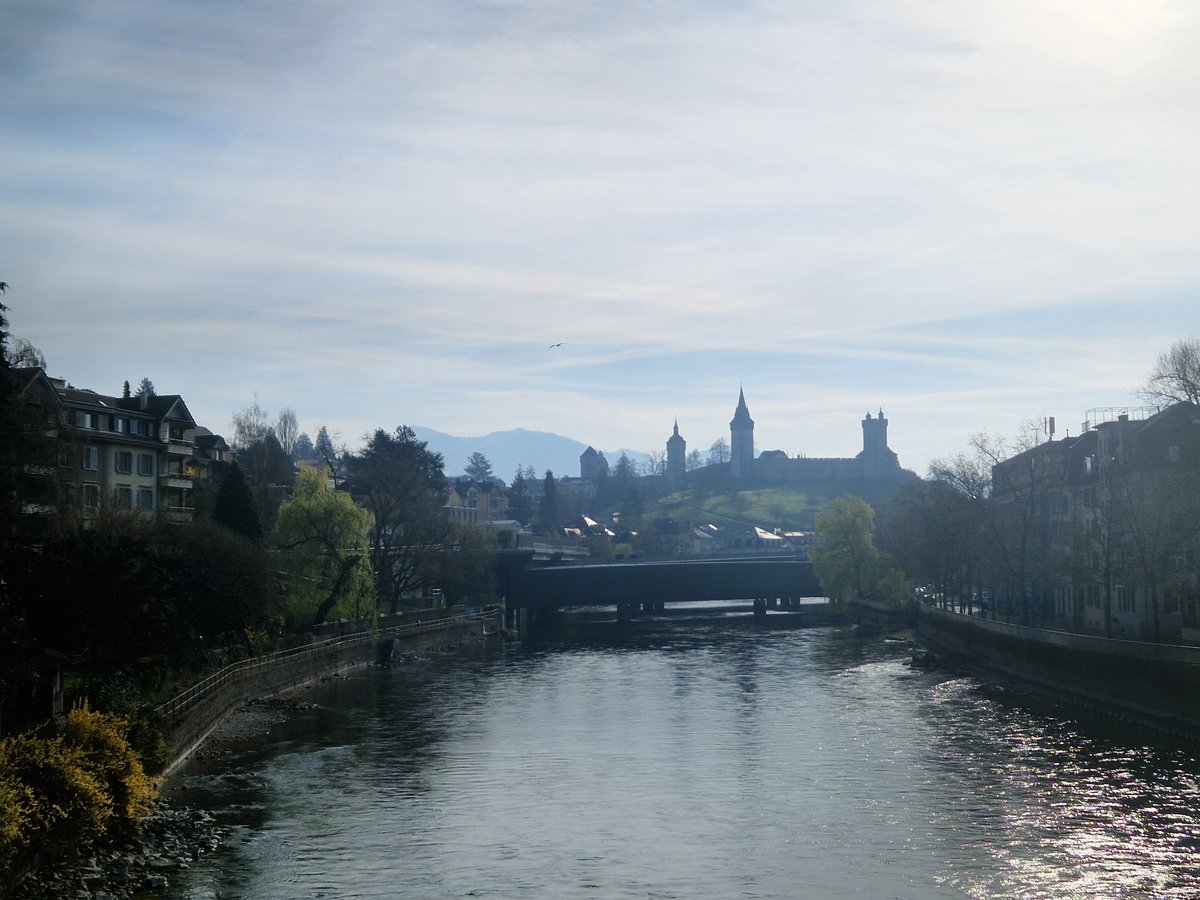 arthur ginkgo tweet media