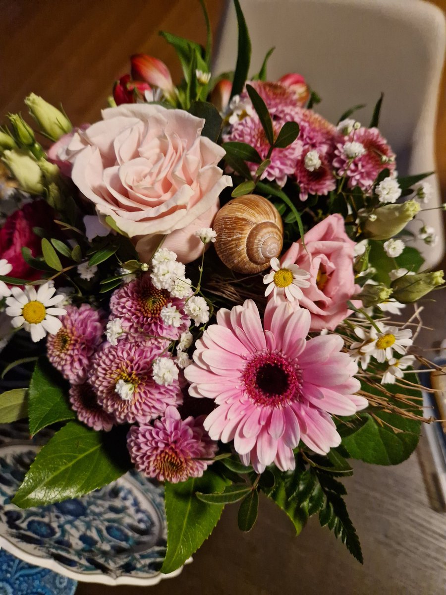 arthur ginkgo tweet media