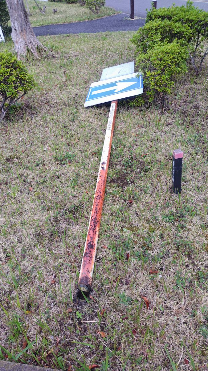 ruri膝ナッパ tweet media