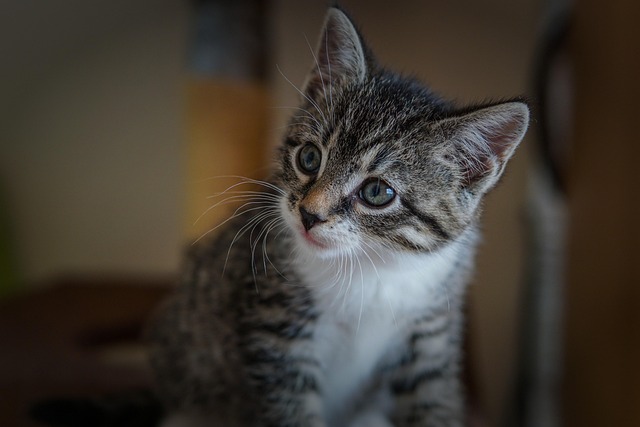 Beth Silva tweet media