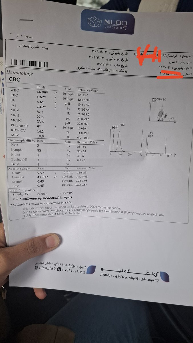 Javad Heydarian tweet media