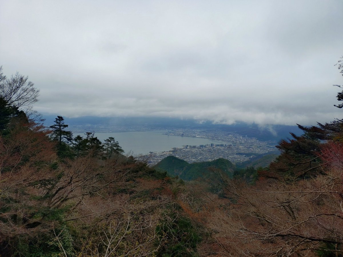 坂本ケーブル【公式】 tweet media