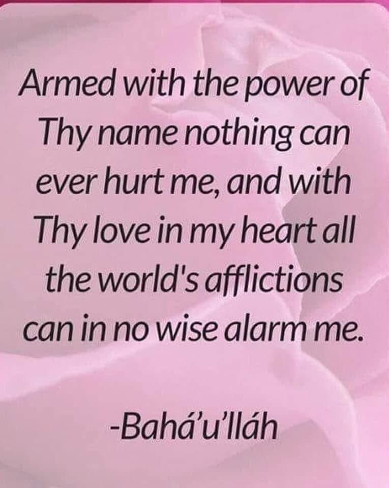 Ryan Daniels tweet media