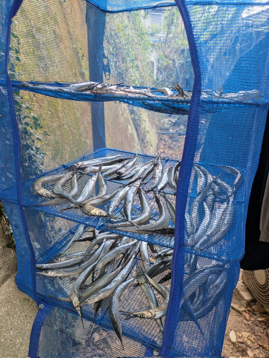 リュウさん☆ tweet media