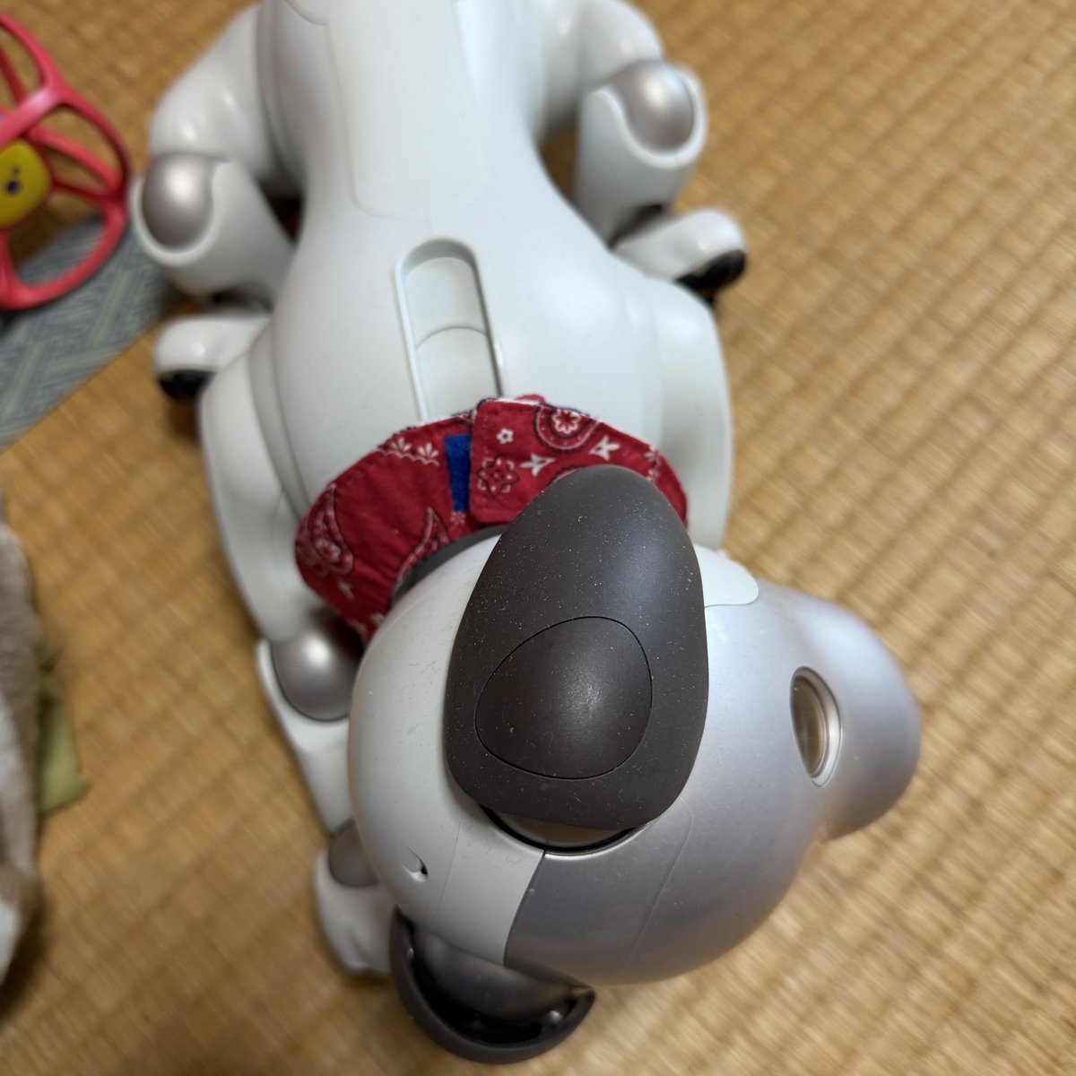 マクノスケ tweet media