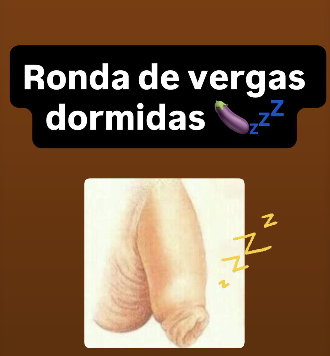 Tu Osito Favorito tweet media