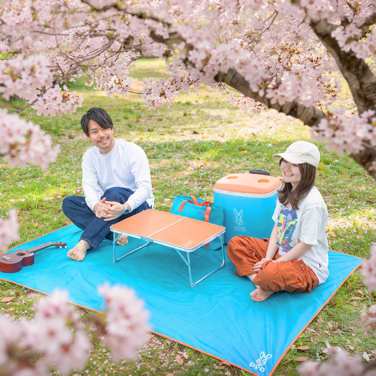 DOD【公式】 tweet media