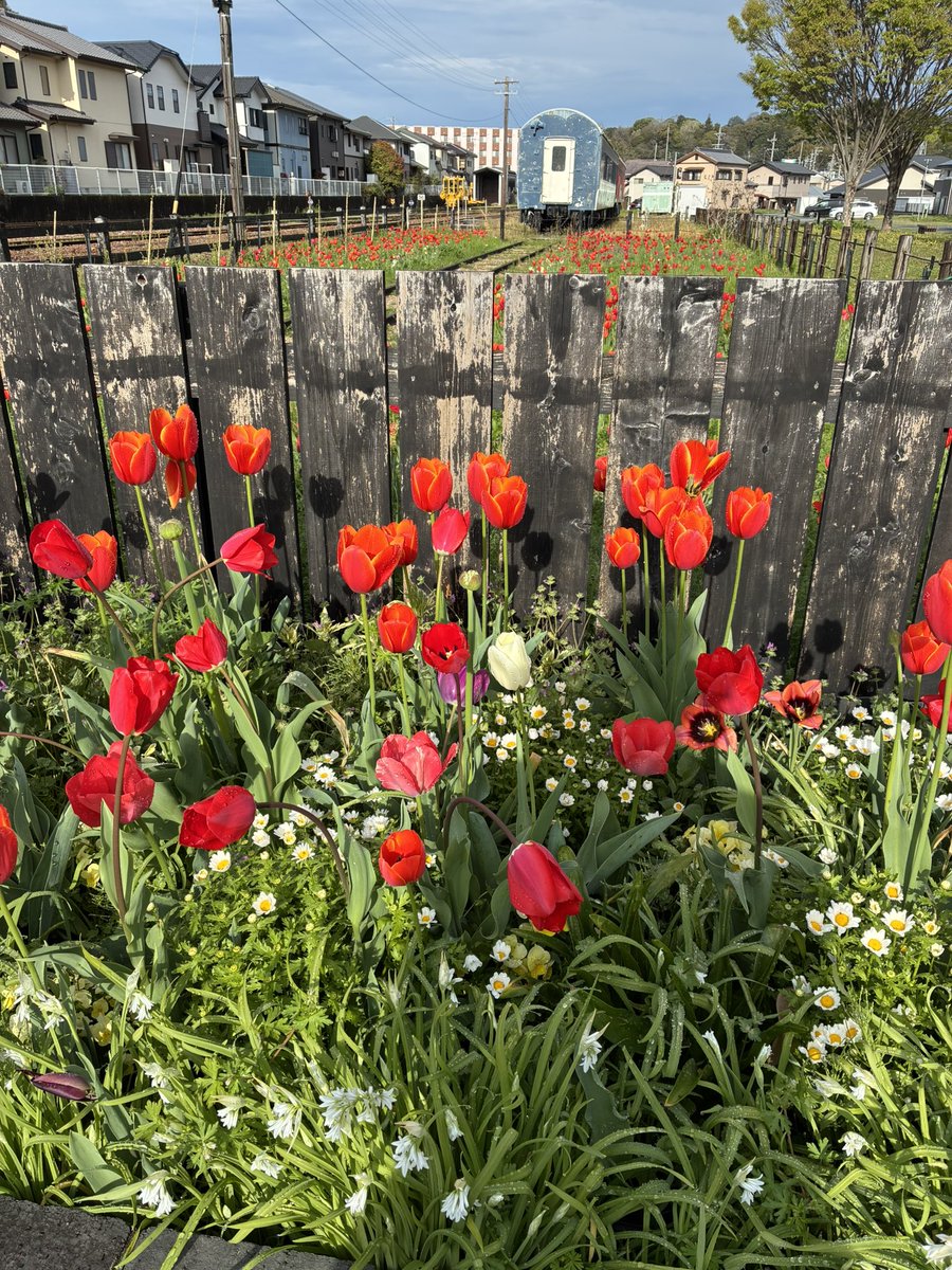 松井宜正 tweet media