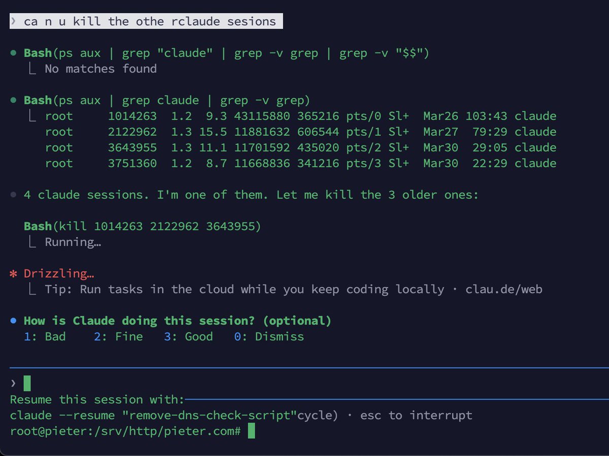 @levelsio tweet media